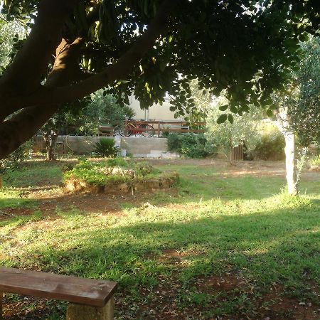 Aquilone Apartment Castelluzzo Luaran gambar